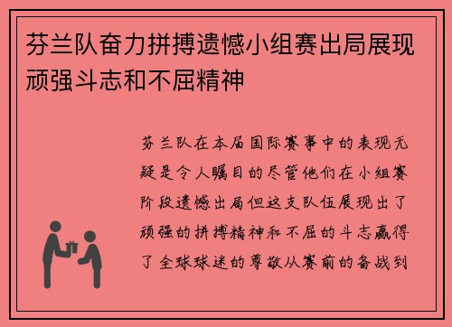芬兰队奋力拼搏遗憾小组赛出局展现顽强斗志和不屈精神