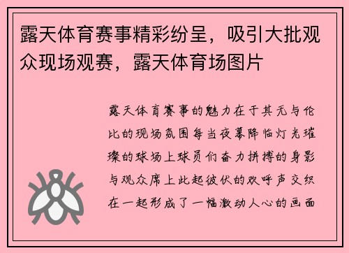露天体育赛事精彩纷呈,吸引大批观众现场观赛,露天体育场图片